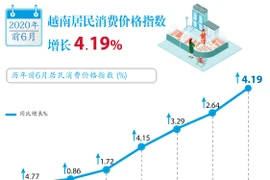 图表新闻：越南居民消费价格指数增长 4.19%