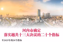 图表新闻：河内市确定落实越共十三大决议的二十个指标