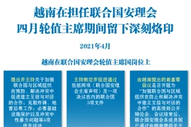 图表新闻：越南在担任联合国安理会四月轮值主席期间留下深刻烙印