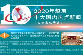 图表新闻：越通社评选出2020年越南十大国内热点新闻