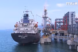 宜山炼油化工综合体项目点燃北中部地区发展引擎