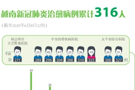 图表新闻：越南新冠肺炎治愈病例累计316人