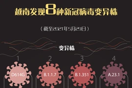 图表新闻：越南发现8种新冠病毒变异株