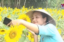 广南省旅游业多管齐下主动适应‘新常态’