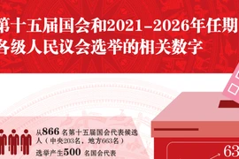 图表新闻：第十五届国会和2021-2026年任期各级人民议会选举的相关数字