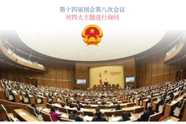 图表新闻：第十四届国会第八次会议 对四大主题进行询问