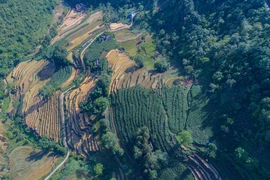 组图：去老街省北河县领略雄伟壮阔美景 感受少数民族风情