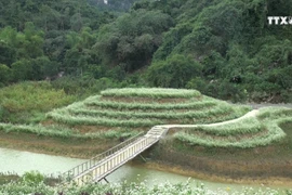 在长安名胜群欣赏荞麦花之美 