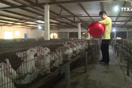 加强农业生产互联互通 让农民走上致富之路
