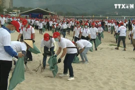 岘港市：800余名志愿者参与海洋垃圾清理活动