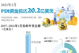 图表新闻：2021年1月FDI资金约达20.2亿美元