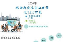 图表新闻：2020年越南新成立企业数量 近13.5万家