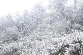 组图：强冷空气袭击 冰雪覆盖北部山区山峰