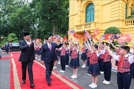 马来西亚专家：越南与马来西亚在东盟中都发挥着重要且不可或缺的作用