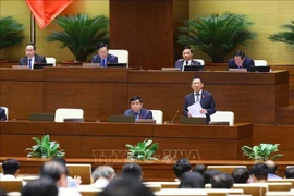 越南第十五届国会第五次会议新闻公报（第十号）