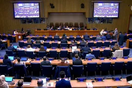 东盟促进联合国在和平利用外层空间方面的作用