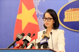 越南祝贺柬埔寨成功举办第七届国会选举