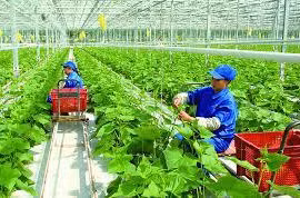 加快推进智慧乡村建设