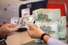 11月14日上午越南国内市场美元卖出价小幅增长