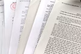 政府总理敦促颁布执行国会的法律和决议的详细规范性文件