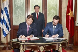 越乌举行活动 热烈庆祝两国建交30周年
