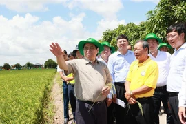 越南政府总理范明政赴同塔省调研