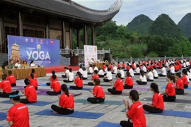 第九届国际瑜伽日：带来生活质量的新价值
