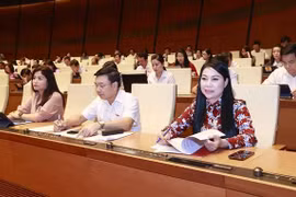 第十五届国会第五次会议：讨论两项重要法律草案
