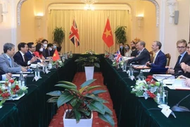 越英建交50周年：主动进一步推动和深化两国战略伙伴关系