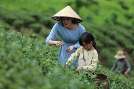 唤醒农业农村旅游发展潜力