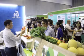 2023年第五届越南国际园艺博览会正式开展