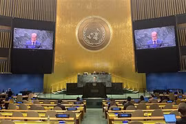越南支持联合国安理会的改革