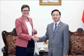 越南希望世界卫生组织支持应对新的卫生挑战