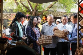 越南西南部地区春节旅游迷人夺目