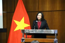 越南与南非建交30周年：经济合作潜力巨大