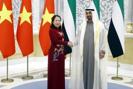 越南国家副主席武氏映春会见阿联酋总统穆罕默德·本·扎耶德·阿勒纳哈扬