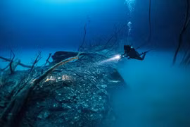 连接越南互联网与国际互联网的所有 5 条海底电缆线路均出现故障