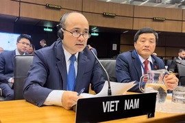 越南支持国际原子能机构的所有三大支柱