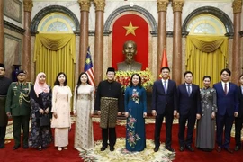 越南国家代主席武氏映春接受三国新任驻越大使递交国书