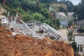大叻市山体滑坡事故：公安机关立案调查