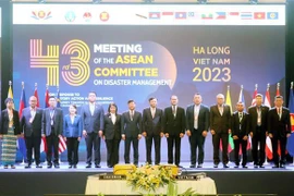 东盟自然灾害管理委员会第43届年会在越南广宁省下龙市开幕