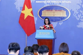 外交部例行记者会：纪录片《MH370 消失的马航客机》中发表的言论引起越南舆论不满