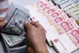 越南国家银行发布关于金融领域活动两项重要规定