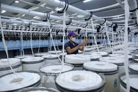 2022年越南缴纳企业所得税最多的1000家企业名单正式出炉