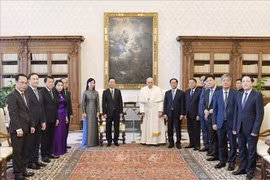 越南国家主席武文赏访问梵蒂冈 会见教宗方济各