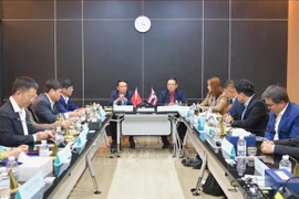 加强越南记者协会与泰国记者协会的合作