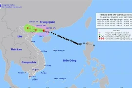 台风中心附近最强风力为10级，阵风12级