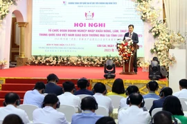 越南与中国促进通过老街边境口岸的贸易交流