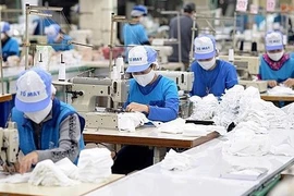 越南发布私营企业500强评估报告