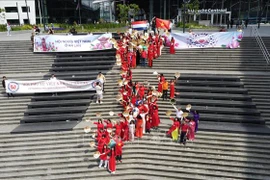 越南与荷兰建交50周年：“越南形状”活动在荷兰举行